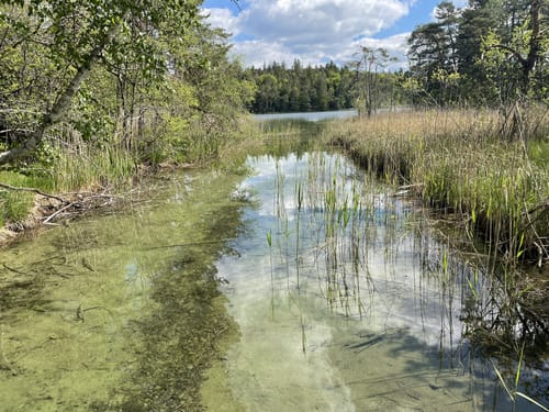 Fohnsee und Großer Ostersee Rundweg