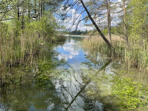 Fohnsee und Großer Ostersee Rundweg