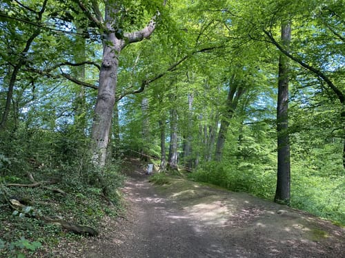 NeanderlandSTEIG - 02. Etappe: Von Wülfrath-Düssel nach Neviges