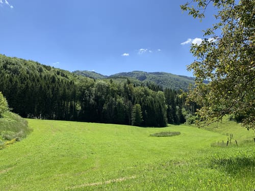 Wolftristkopf und Erdmannshöhle