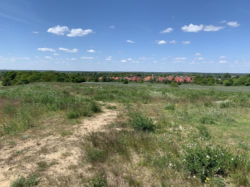 Zwischen Zossen und Wünsdorf