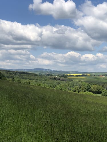Der Freihölzer Weg – Birstein B1