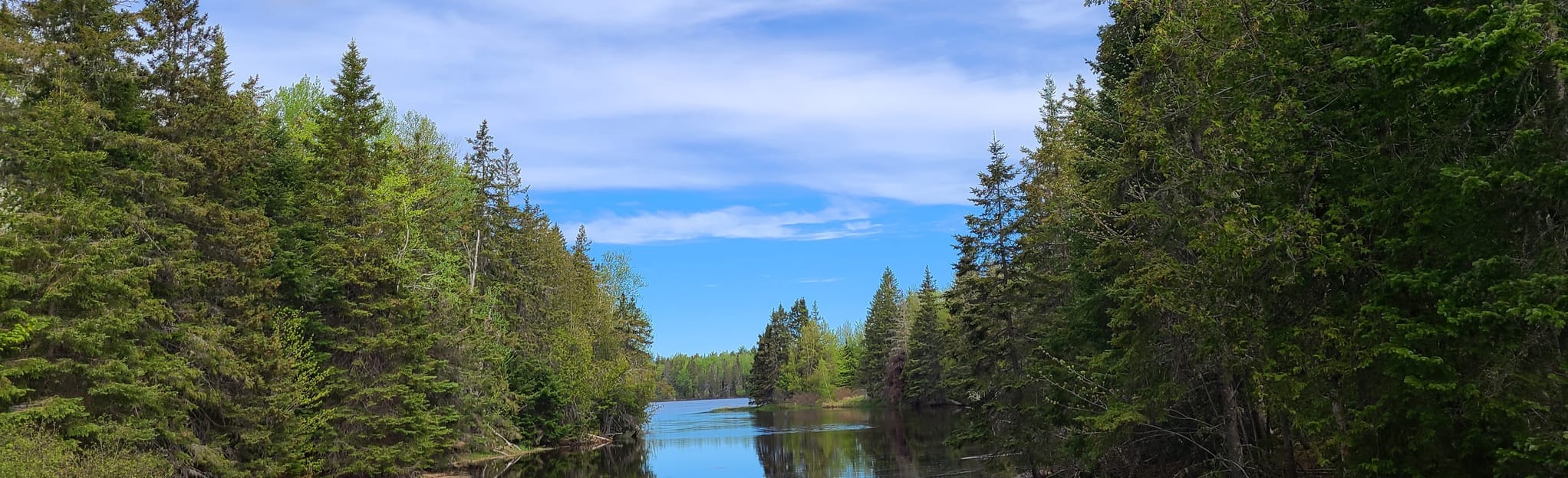 South Kouchibouguac Waterfront Trail Map, Guide New Brunswick, Canada AllTrails