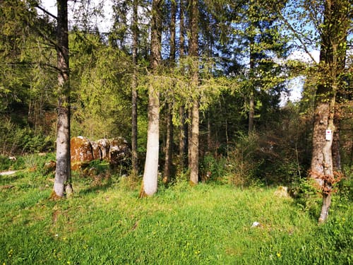 Löwenpfad Filsursprung-Runde