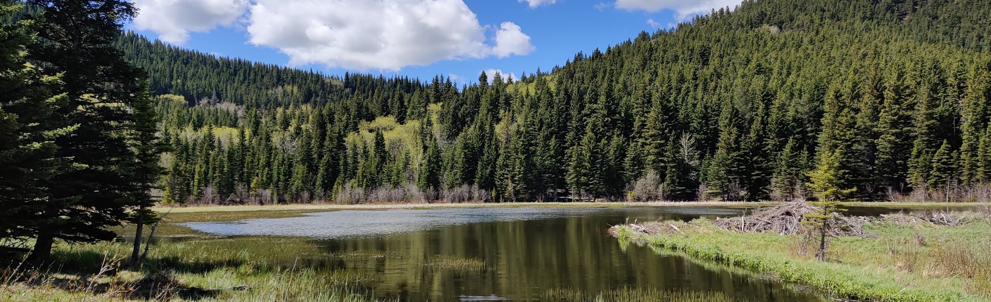 Mount Albert, Alberta, Canada 226 Reviews, Map AllTrails