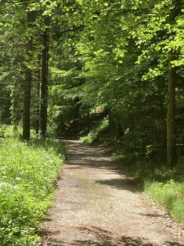 Eging am See Runde