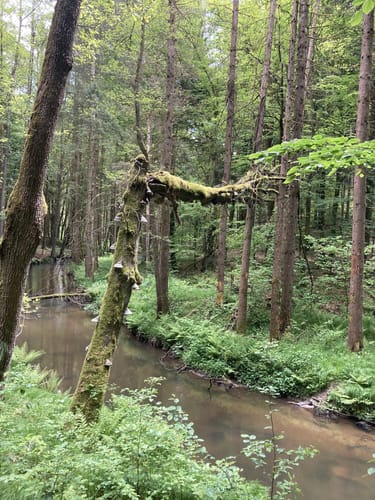 Eging am See Runde