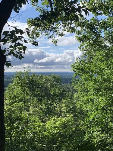 10 Best Hikes and Trails in Paris Mountain State Park AllTrails