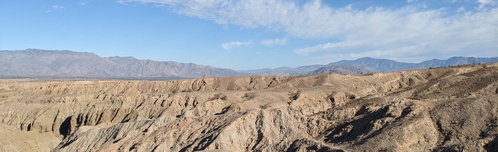 are dogs allowed at anza borrego state park