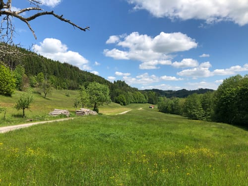 Berwinkel - Sulzbach - Zwerenberg