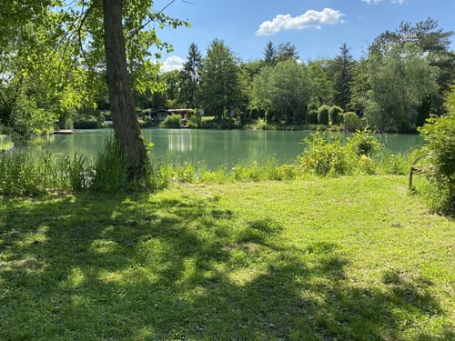Rund um die Massenheimer Kiesgrube ab Hochheim