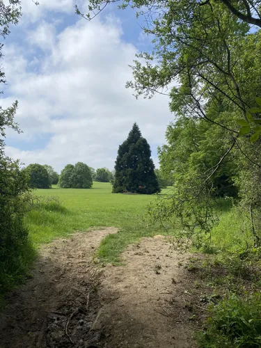 Best Hikes and Trails in Delapre Park | AllTrails