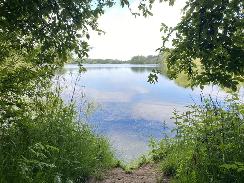 Best Hikes and Trails in Delapre Park | AllTrails