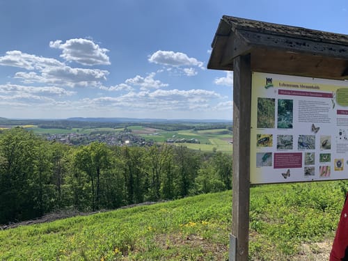 Stein-Erlebnispfad
