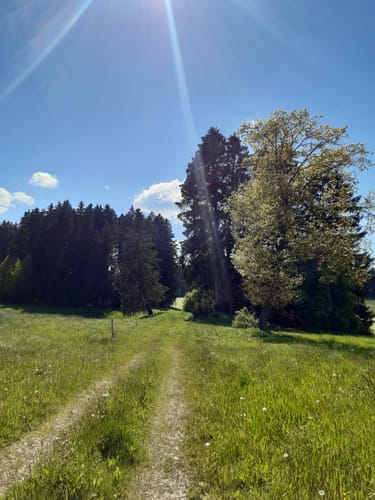 Immenhofen -Elbsee Runde