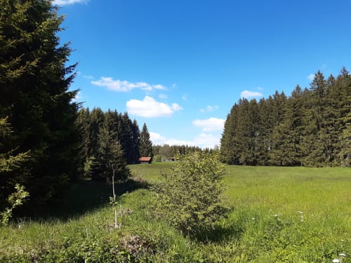 Immenhofen -Elbsee Runde