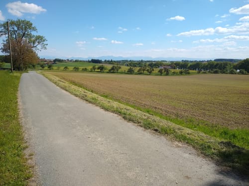 Ebersberger Seelauf (Seerunde + Waldrunde)