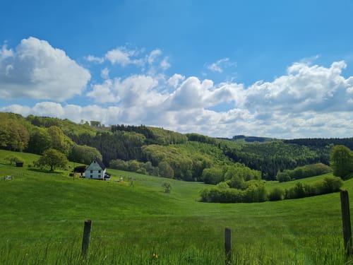 Große Runde bei Brüninghausen