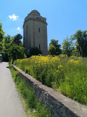 Ingelheimer Auslese