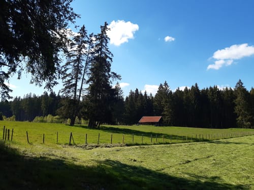 Immenhofen -Elbsee Runde