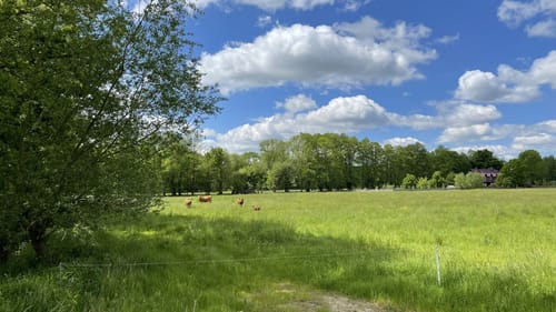 Burg-Kolonie Runde