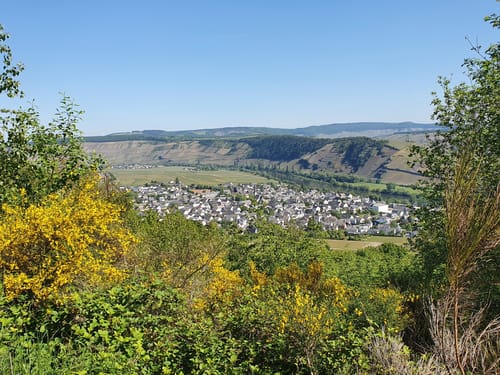 Moselsteig Etappe 8: Leiwen - Neumagen-Dhron
