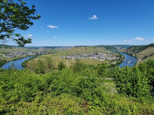 Moselachter (Moselsteig Seitensprung)