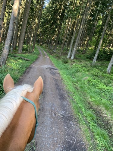 Beerfelden, Etzean und Hüttenthal