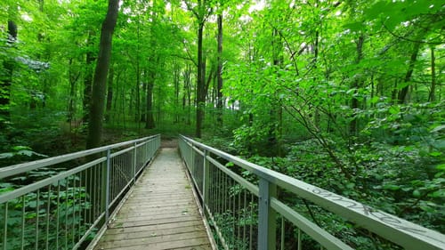 Kuhndorftal - Knittelholzweg