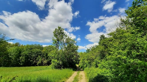 Kuhndorftal - Knittelholzweg