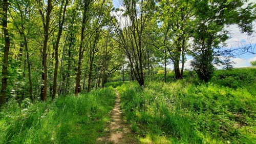 Kuhndorftal - Knittelholzweg