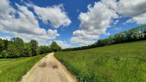Kuhndorftal - Knittelholzweg
