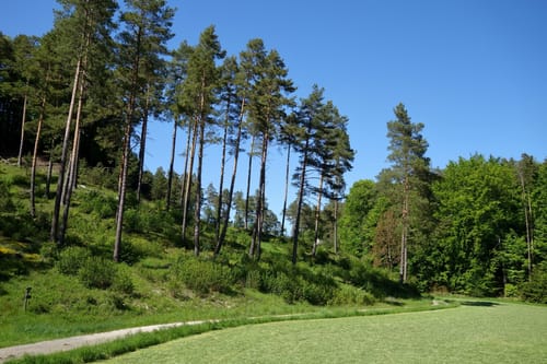 Eichenstruth nach Höfen