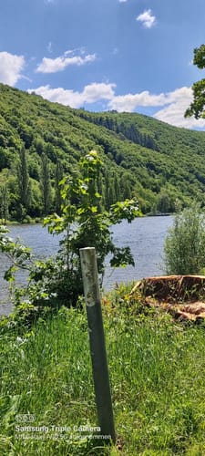 Mosel Radweg Etappe 9: Cochem - Löf