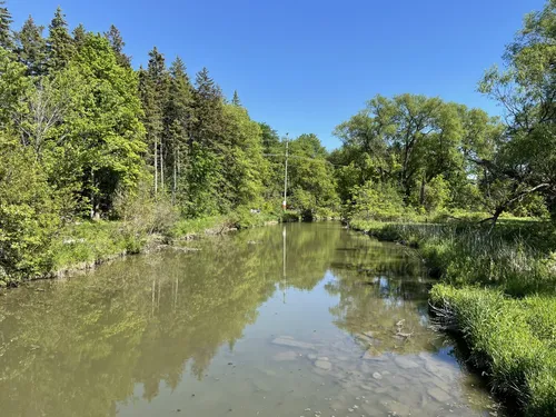 Fairy Lake Park Weather