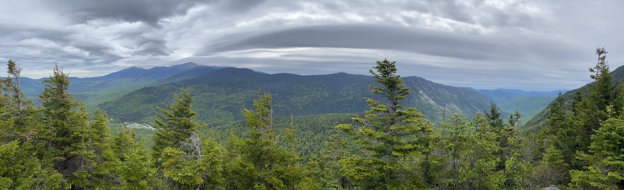 Mount Tom, Mount Field, Mount Willey and Mount Avalon Trail, New