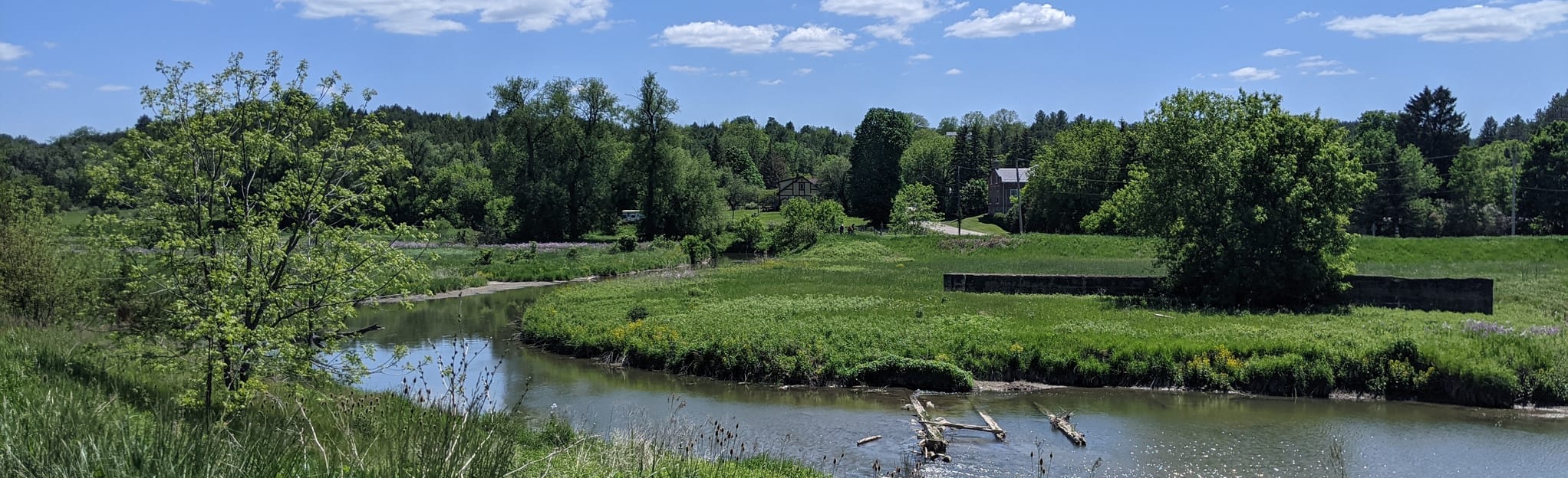 AllTrails Nokiidaa Trail Holland Landing to Aurora 414 Reviews, Map