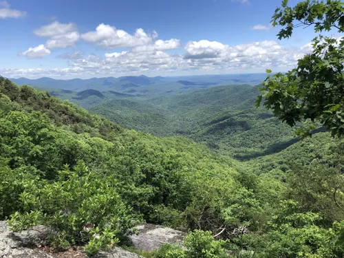 North Georgia Wildlife Guide, Blue Ridge Mountains