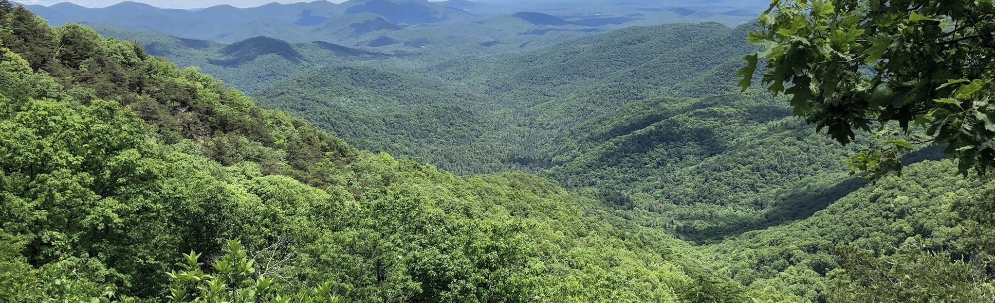 Appalachian Trail: Springer Mountain To Neels Gap, Georgia - 132 ...