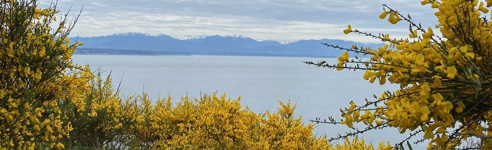 Kettles Trail 140 Reviews, Map Washington AllTrails