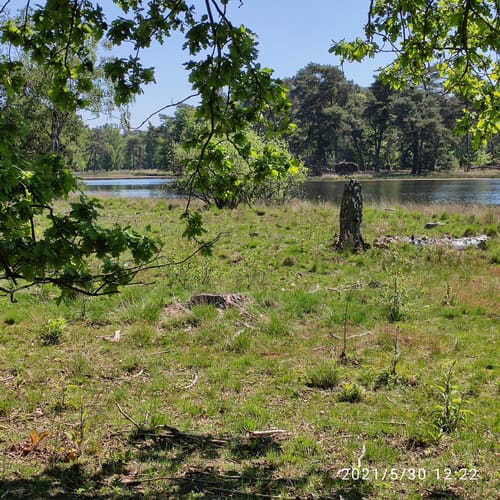 Auesee und Diersfordter Wald