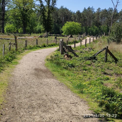 Auesee und Diersfordter Wald
