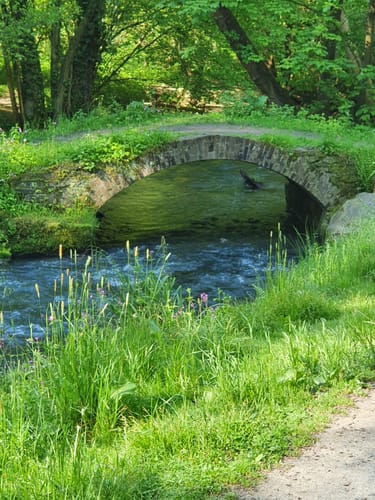 Entlang dem Angerbach