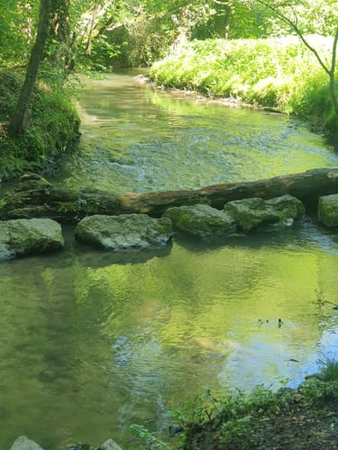 Entlang dem Angerbach