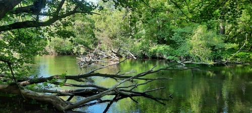 Rur-Ufer-Radweg