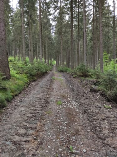 Fichtelbergmarsch 2018