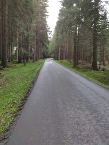 Fichtelbergmarsch 2018