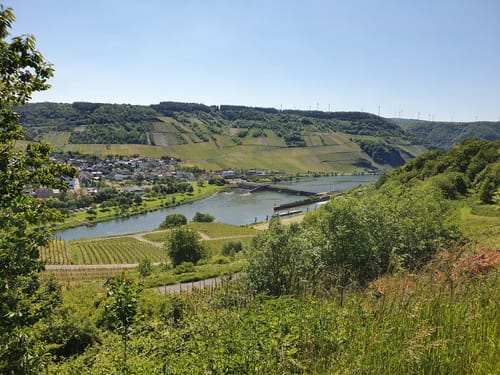 Moselsteig Etappe 9: Neumagen-Dhron - Monzel