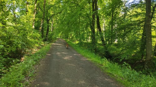Rotbach Rundweg A6