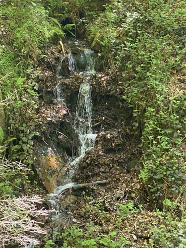 MTB-Park Pfälzerwald Tour 1: Obere Schleife